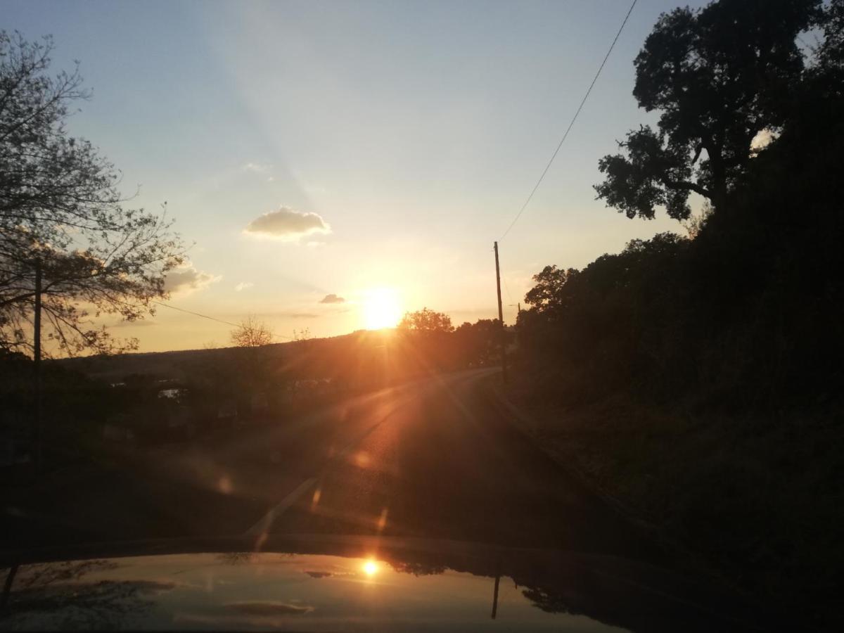 Casinha De Nogueirinha Villa Macedo de Cavaleiros Bagian luar foto